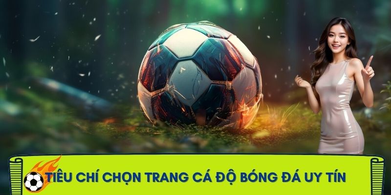 trang-ca-do-bong-da-uy-tin-nhat-viet-nam-tieu-chi